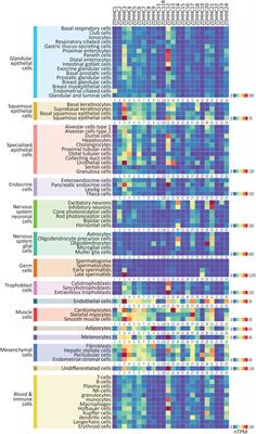 CellPalmSeq: A curated RNAseq database of palmitoylating and de-palmitoylating enzyme expression in human cell types and laboratory cell lines